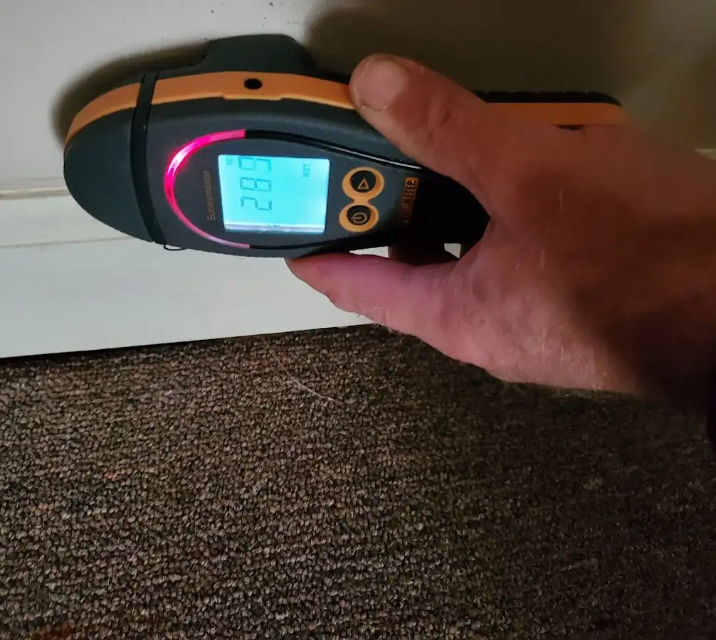 Moisture detection at baseboard during Sewage Cleanup & Sanitation in Saratoga Springs
